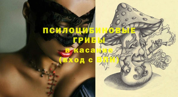 твердый Алзамай